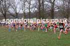BGirls Under-13s 2026 UK CAU Inter Counties Cross Country, Wollaton Park, Nottingham. Photo: David T. Hewitson/Sports for All Pics